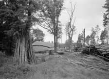 Small portable sawmill, near Chapel Hill, North Carolina, 1939. Creator: Dorothea Lange
