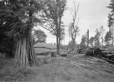 Small portable sawmill, near Chapel Hill, North Carolina, 1939. Creator: Dorothea Lange