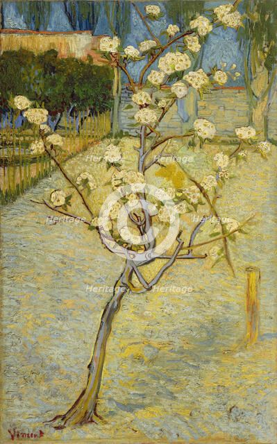 Small pear tree in blossom, 1888. Artist: Gogh, Vincent, van (1853-1890)