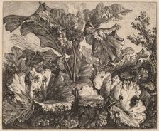 Small Plant Study: a Burdock, Delicate Tufts of Grass at Left, 1826/1828. Creator: Carl Wilhelm Kolbe the elder