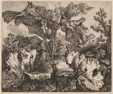 Small Plant Study: a Burdock, Delicate Tufts of Grass at Left, 1826/1828. Creator: Carl Wilhelm Kolbe the elder