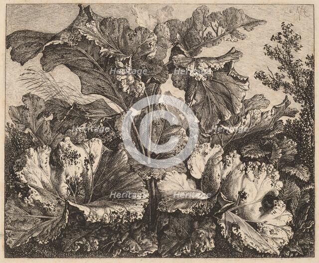 Small Plant Study: a Burdock, Delicate Tufts of Grass at Left, 1826/1828. Creator: Carl Wilhelm Kolbe the elder.