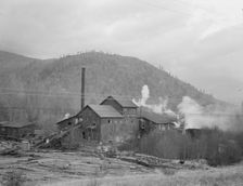 Small private lumber mill still operating in region..., Boundary County, Idaho, 1939. Creator: Dorothea Lange