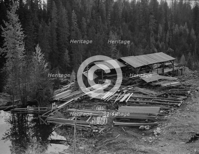 Small privately owned mill in the woods..., Mission Creek, Boundary County, Idaho, 1939. Creator: Dorothea Lange.