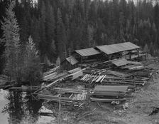 Small privately owned mill in the woods..., Mission Creek, Boundary County, Idaho, 1939. Creator: Dorothea Lange