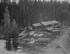 Small privately owned mill in the woods, recently discontinued, Mission Creek, Idaho, 1939 Creator: Dorothea Lange