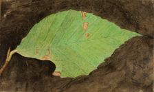 Smaller Spotted Beach Leaf Edge Caterpillar..., late 19th-early 20th century. Creator: Emma Beach Thayer