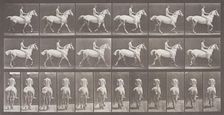 Smith Trotting Bareback, Printed 1887. Creator: Eadweard J Muybridge