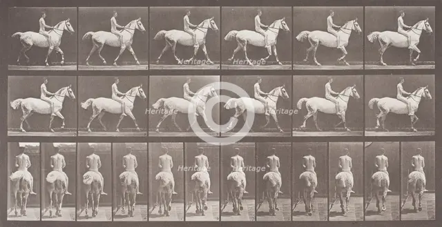 Smith Trotting Bareback, Printed 1887. Creator: Eadweard J Muybridge.