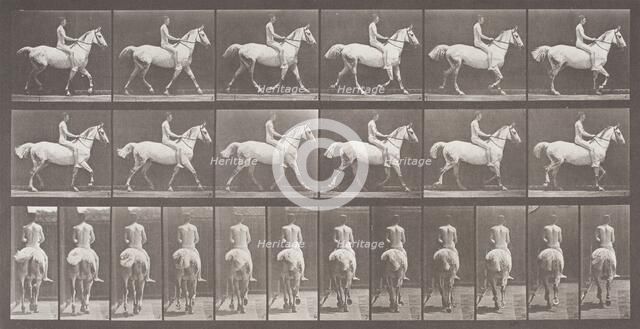 Smith Trotting Bareback, Printed 1887. Creator: Eadweard J Muybridge.