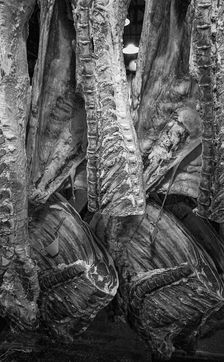 Smithfield Meat Market, City of London, January 1980. Creator: Peter Thompson