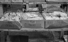 Smithfield Meat Market, City of London, January 1980. Creator: Peter Thompson