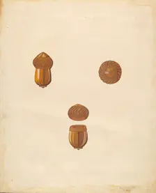 Snuff Box, 1936. Creator: Marie Famularo