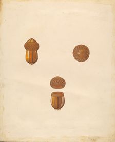 Snuff Box, 1936. Creator: Marie Famularo