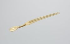 Snuff Spoon/Comb, late 1800s. Creator: Unknown