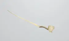 Snuff Spoon, late 1800s. Creator: Unknown