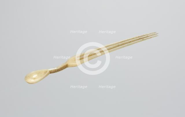 Snuff Spoon/Comb, late 1800s. Creator: Unknown.