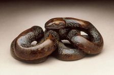 Snake, 18th century. Creator: Unknown