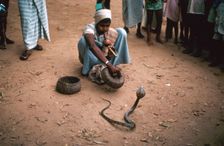 Snake charmer with cobra, in Sri Lanka