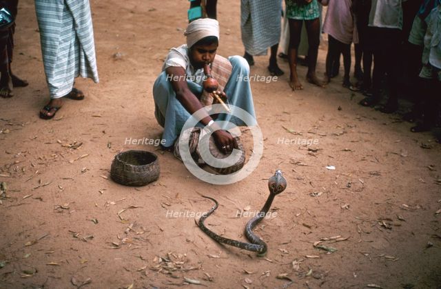 Snake charmer with cobra, in Sri Lanka. Artist: Unknown