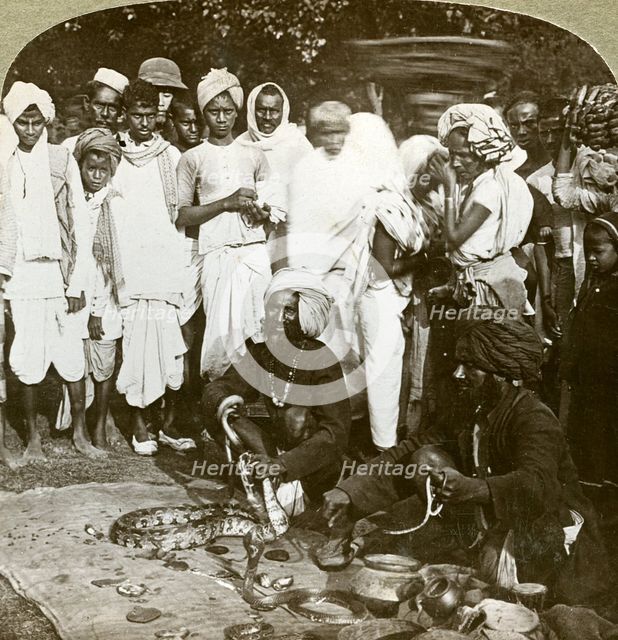 Snake charmer, Calcutta, India, c1900s(?).Artist: Underwood & Underwood