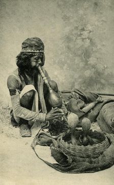 Snake Charmer Creator: Unknown