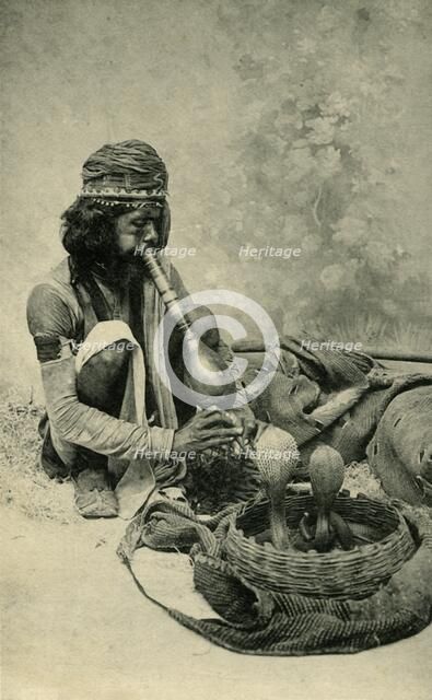 'Snake Charmer'.  Creator: Unknown.