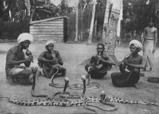 Snake Charmers c1890, (1910). Artist: Alfred William Amandus Plate