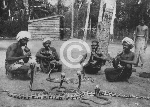 'Snake Charmers', c1890, (1910). Artist: Alfred William Amandus Plate.