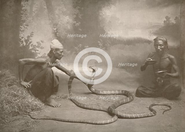 'Snake Charrmers with Hamadryads (Kuy Cobras)', 1900. Creator: Unknown.