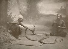 Snake Charrmers with Hamadryads (Kuy Cobras) 1900. Creator: Unknown