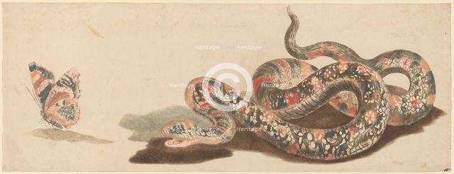 Snake and Butterfly, 1680s/1690s. Creator: Workshop of Johann Teyler.