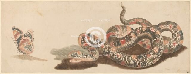 Snake and Butterfly, 1680s/1690s. Creator: Workshop of Johann Teyler.