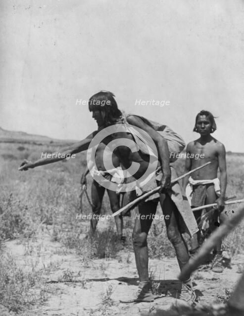 Snake gathering [D]-Hopi, c1907. Creator: Edward Sheriff Curtis.