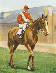 Snake Lightning. Jockey: T. Hawcroft 1939