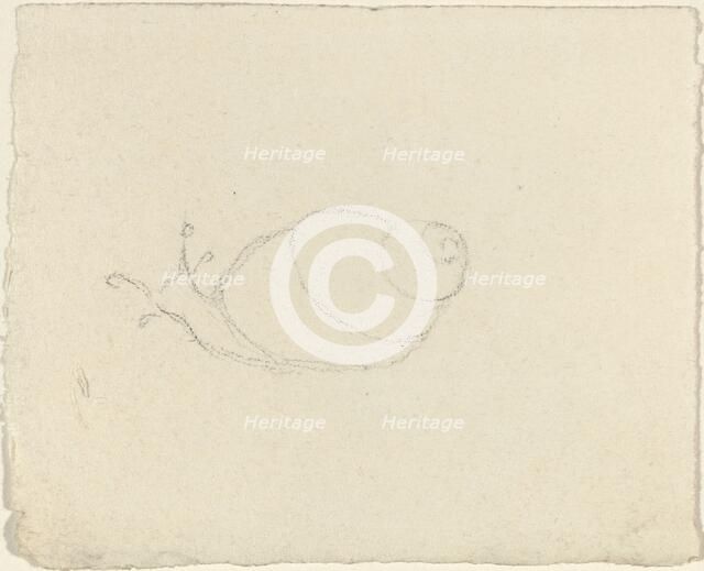 Snails [recto and verso]. Creator: John Flaxman.