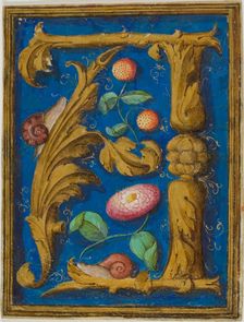Snails, Strawberries and a Flower in a Decorated Initial "A" from a Manuscript, n.d. Creator: Unknown