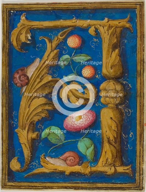 Snails, Strawberries and a Flower in a Decorated Initial "A" from a Manuscript, n.d. Creator: Unknown.