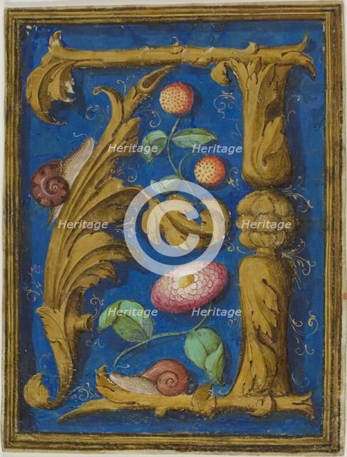 Snails, Strawberries and a Flower in a Decorated Initial "A" from a Manuscript, n.d. Creator: Unknown.