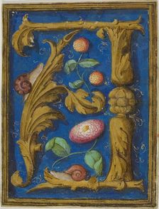 Snails, Strawberries and a Flower in a Decorated Initial "A" from a Manuscript, n.d. Creator: Unknown