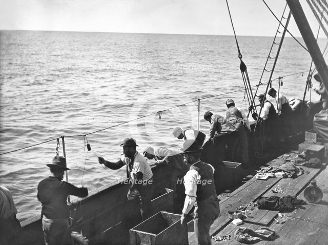 Snapper fishing, Moreton Bay, Queensland, c1900s. Creator: Robert Augustus Henry L'Estrange.