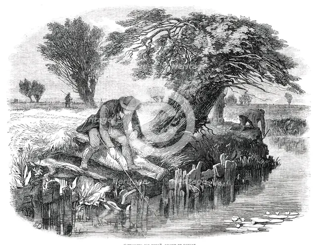 Sniggling for Eels - drawn by Duncan, 1850. Creator: Mason Jackson.