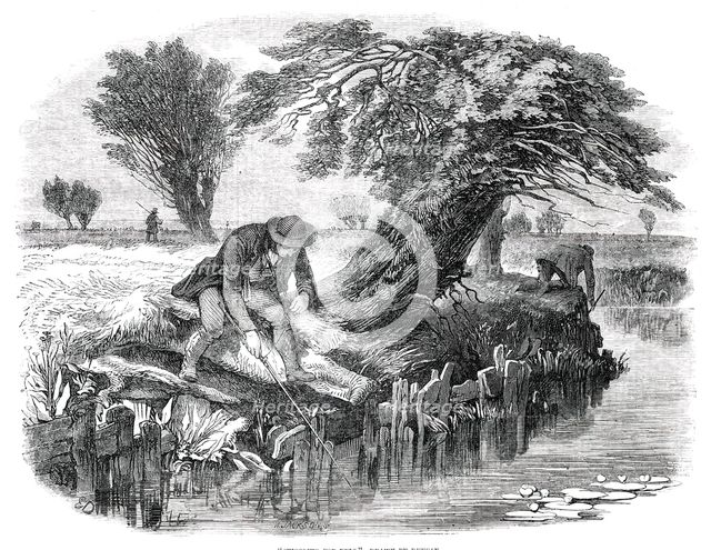 Sniggling for Eels - drawn by Duncan, 1850. Creator: Mason Jackson.