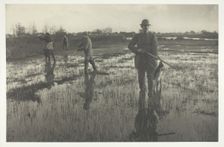 Snipe-Shooting, 1886. Creator: Peter Henry Emerson