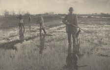Snipe-Shooting, 1886. Creators: Dr Peter Henry Emerson, Thomas Frederick Goodall
