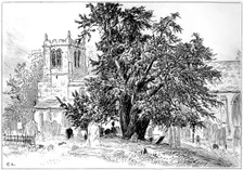 Snitterfield church, Snitterfield, Warwickshire, 1885.Artist: Edward Hull