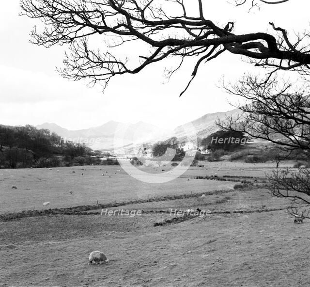 Snowdon from Capel Curig, Snowdonia, Wales, c1955. Creator: Arthur Charles Kirby Ware.