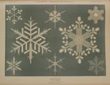 Snowflakes, 1874. Creator: Unknown