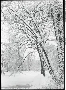 Snowscape, Berlin, 1888/92. Creator: Alfred Stieglitz