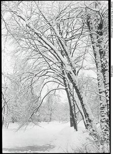 Snowscape, Berlin, 1888/92. Creator: Alfred Stieglitz